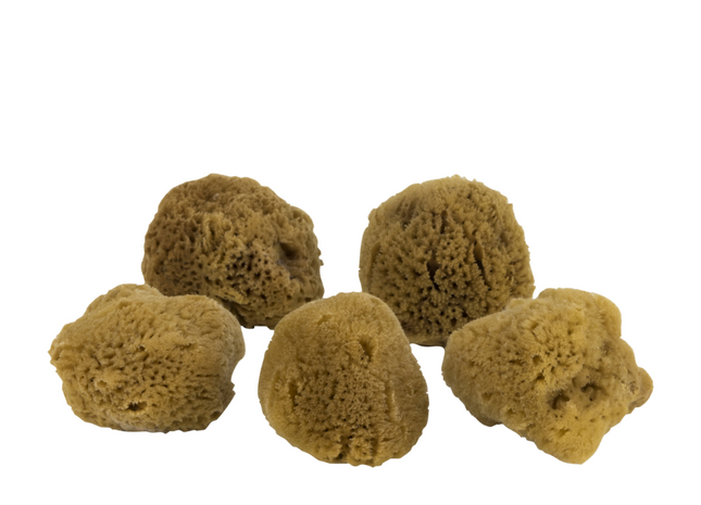 Mette Ditmer "Organic Ocean Face Sponge" 5 pcs in Brown