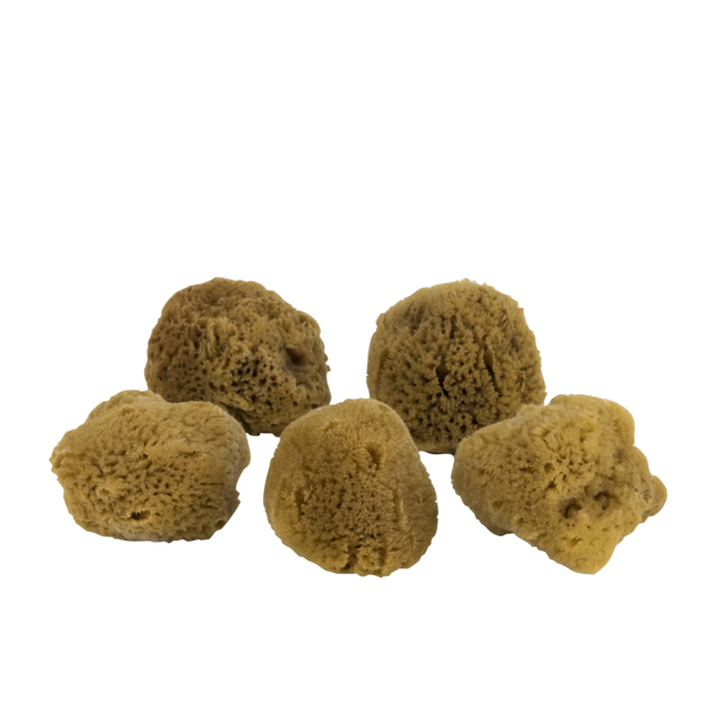 Mette Ditmer "Organic Ocean Face Sponge" 5 pcs in Brown