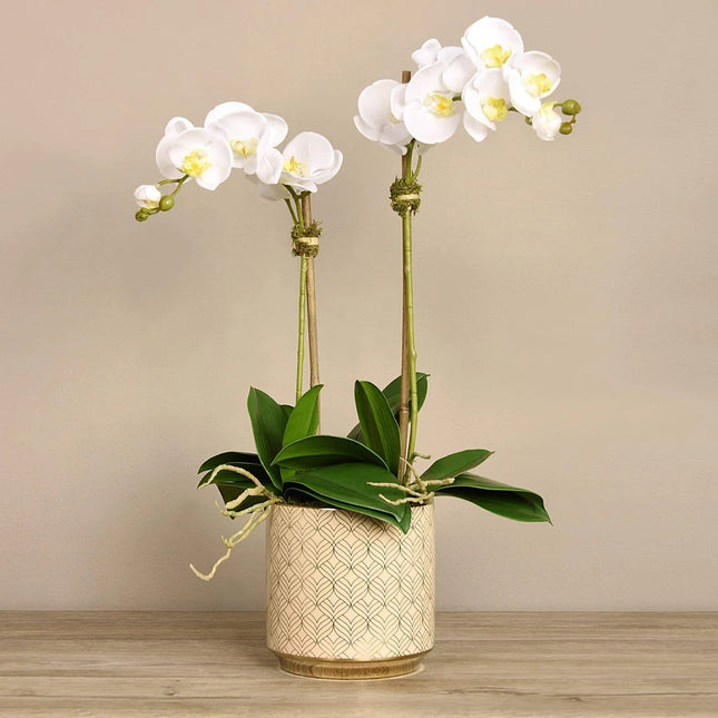 Linen Obsession "Orchid" White in Gold Patterned Pot
