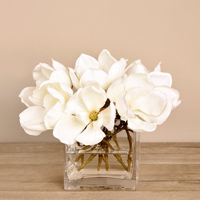 Linen Obsession "Magnolia" Plant