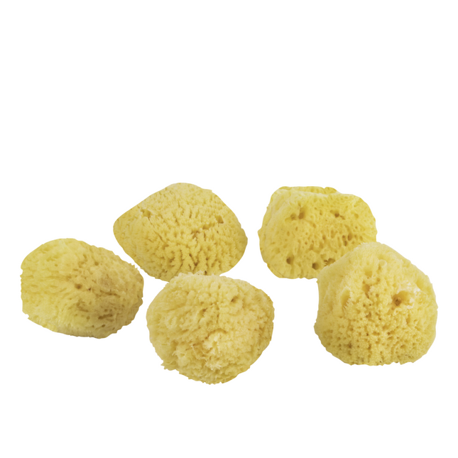 Mette Ditmer "Organic Ocean Face Sponge" 5 pcs in Yellow