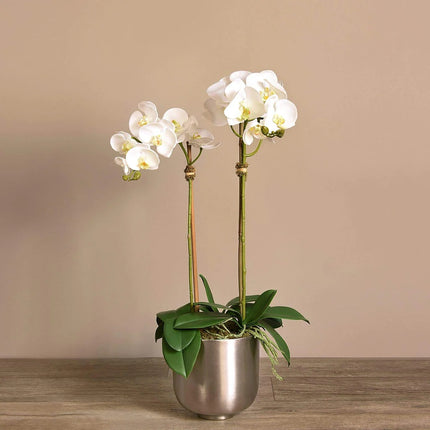 Linen Obsession "Orchid" in Silver Metallic Pot