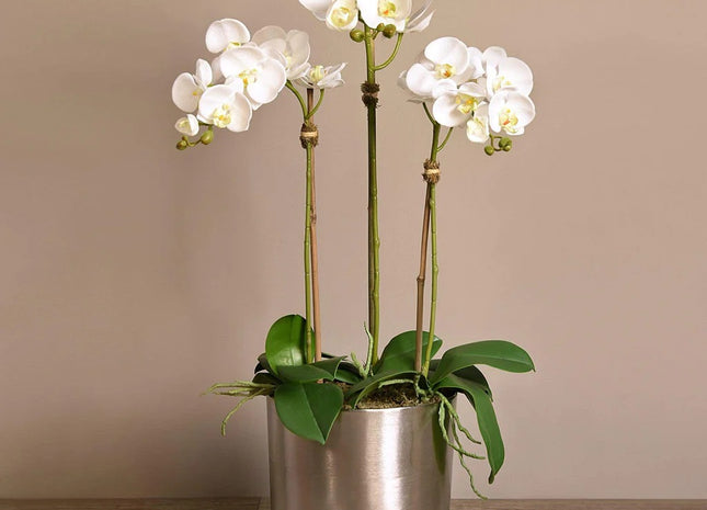 Linen Obsession "Orchid" in Silver Metallic Pot