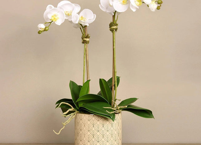 Linen Obsession "Orchid" White in Gold Patterned Pot