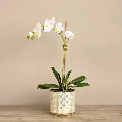 Linen Obsession "Orchid" in Gold Patterned Pot