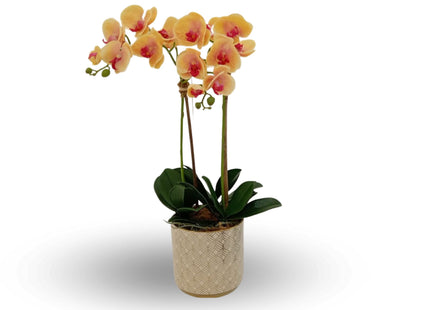Linen Obsession "Orchid" Yellow in Gold Patterned Pot