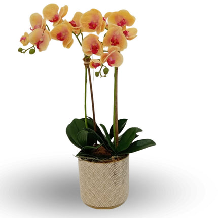 Linen Obsession "Orchid" Yellow in Gold Patterned Pot