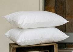 Christy "Essential Hollowfibre" Filled Pair of Pillows 47 x 72cm