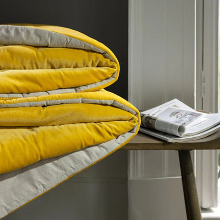 رميات كريستي "جايبور" - الكركم الذهبي