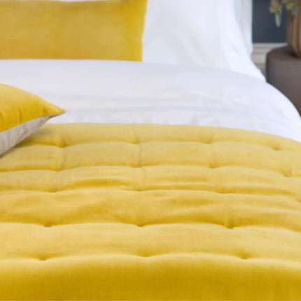 رميات كريستي "جايبور" - الكركم الذهبي