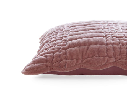Laura Ashley "Brady Scalloped" Decorative Filled Cushion - 43 x 43 cm