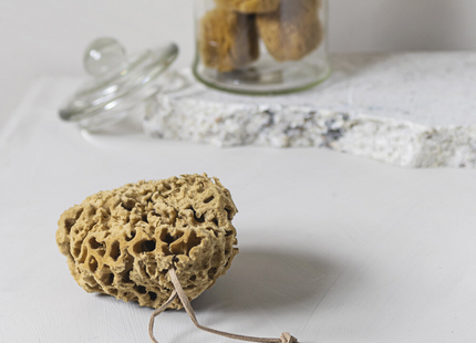 Mette Ditmer "Organic Sea Sponge" in Brown