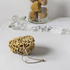 Mette Ditmer "Organic Sea Sponge" in Brown