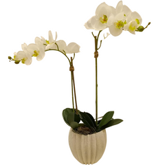 Linen Obsession "3D potted Orchid" Plant