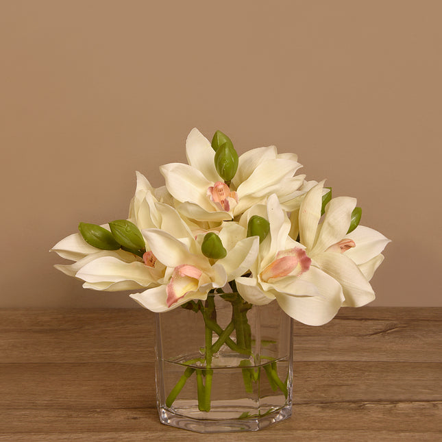 Linen Obsession "Cymbidium" Plant