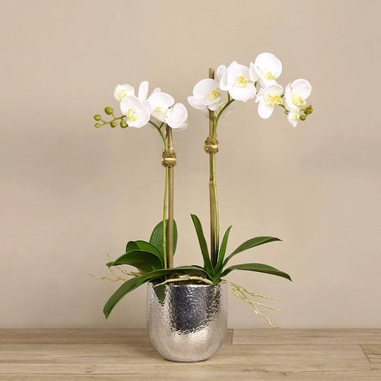 Linen Obsession "Orchid" in Metal Pot