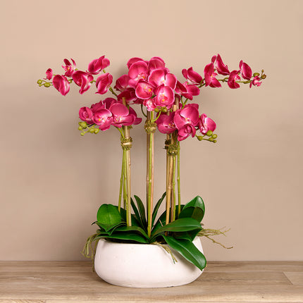 Linen Obsession "Orchid" Plant