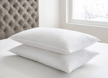 Bedeck of Belfast "Microfiber" Filled Pillows - Twin Pack 48x74cm