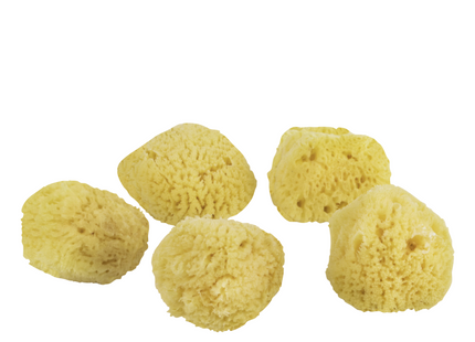 Mette Ditmer "Organic Ocean Face Sponge" 5 pcs in Yellow